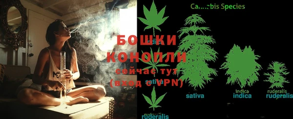 амф Майский