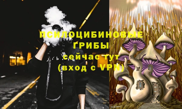 мескалин Абаза