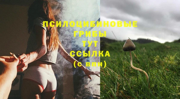 ALPHA-PVP Магас